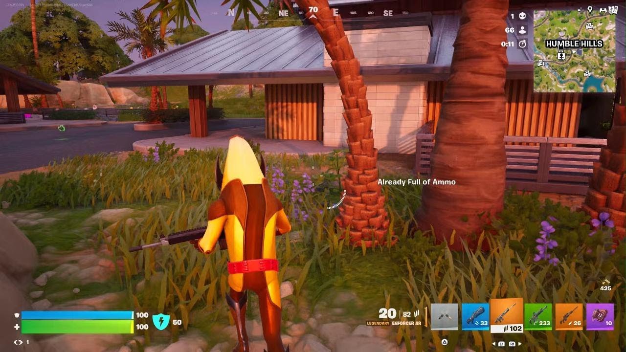 Fortnite_20260119191742