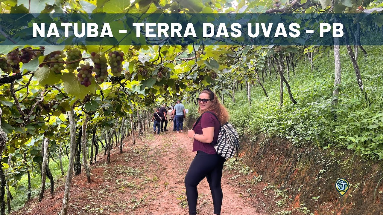 PARREIRAL NA PARAÍBA - CONHEÇA NATUBA - A TERRA DAS UVAS / Rota Gastronômica