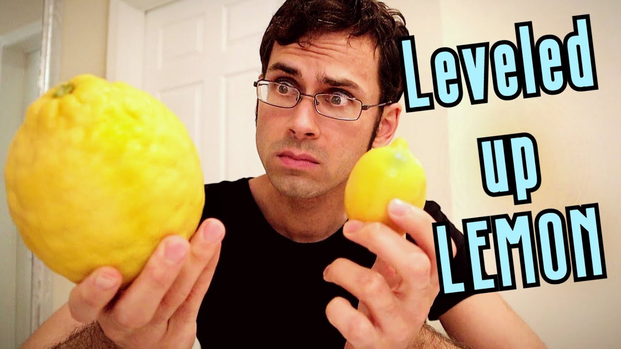 PONDEROSA LEMON - Trying a GIANT Lemon Hybrid (& Candied Lemon Peel Recipe!) - Weird Fruit Explorer