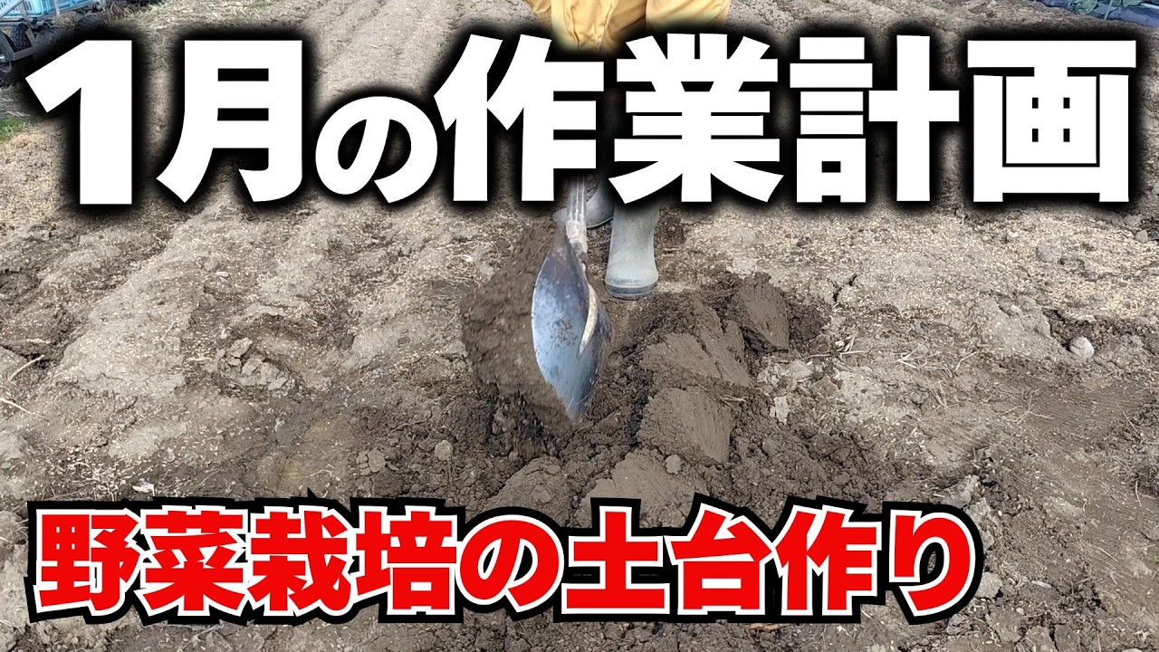 【畑巡り】1月は、この作業を実施しよう／寒さが厳しいですが、畑では春の準備を進める必要があるんです