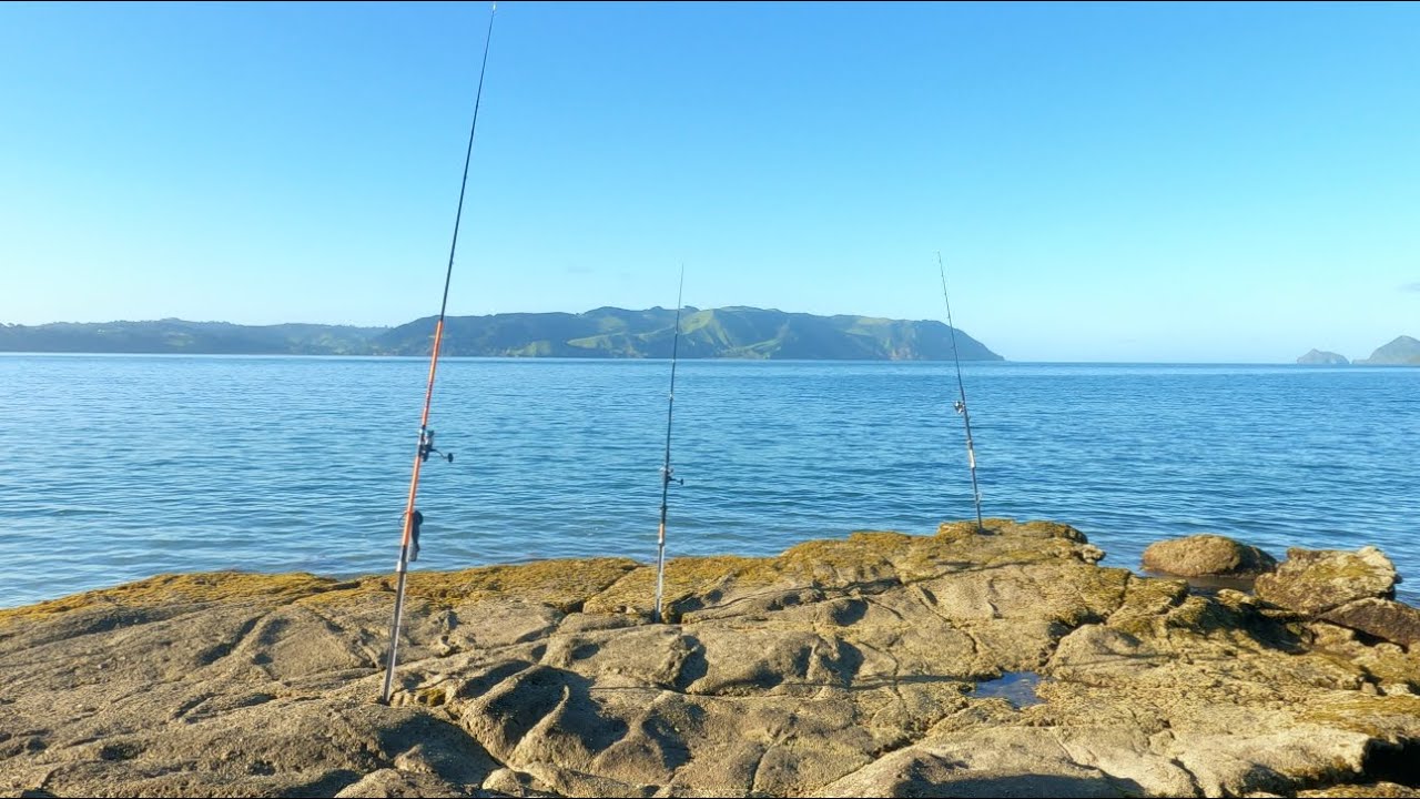 FISHING OUT WEST (MANUKAU HARBOUR) 