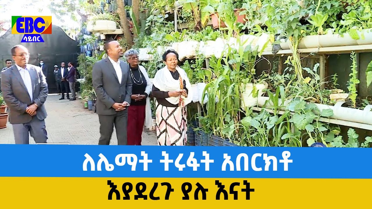 ለሌማት ትሩፋት አበርክቶ እያደረጉ ያሉ እናት  Etv | Ethiopia | News