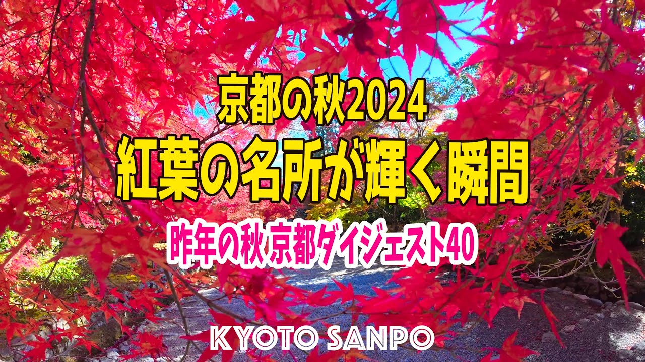 🍁京都紅葉ダイジェスト!! 🍁 2024年11月～12月 昨年行った場所をダイジェストでお届け /京都さんぽ/秋さんぽ/Kyoto walk [京都4K]