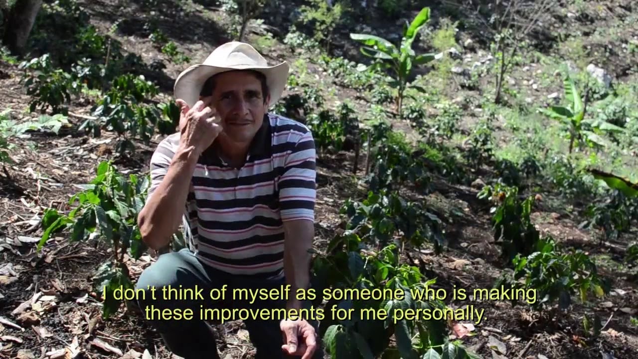 Guaya'b Coffee (Guatemala)  meet Romeo Mendoza