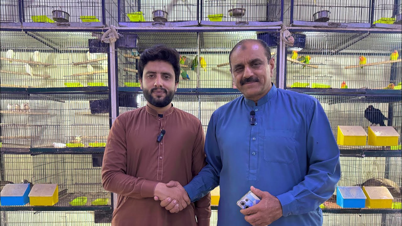 Multan Sunday Birds Market Rasheedabad 01 Decmber 2024 | pakistan bird market video par 2