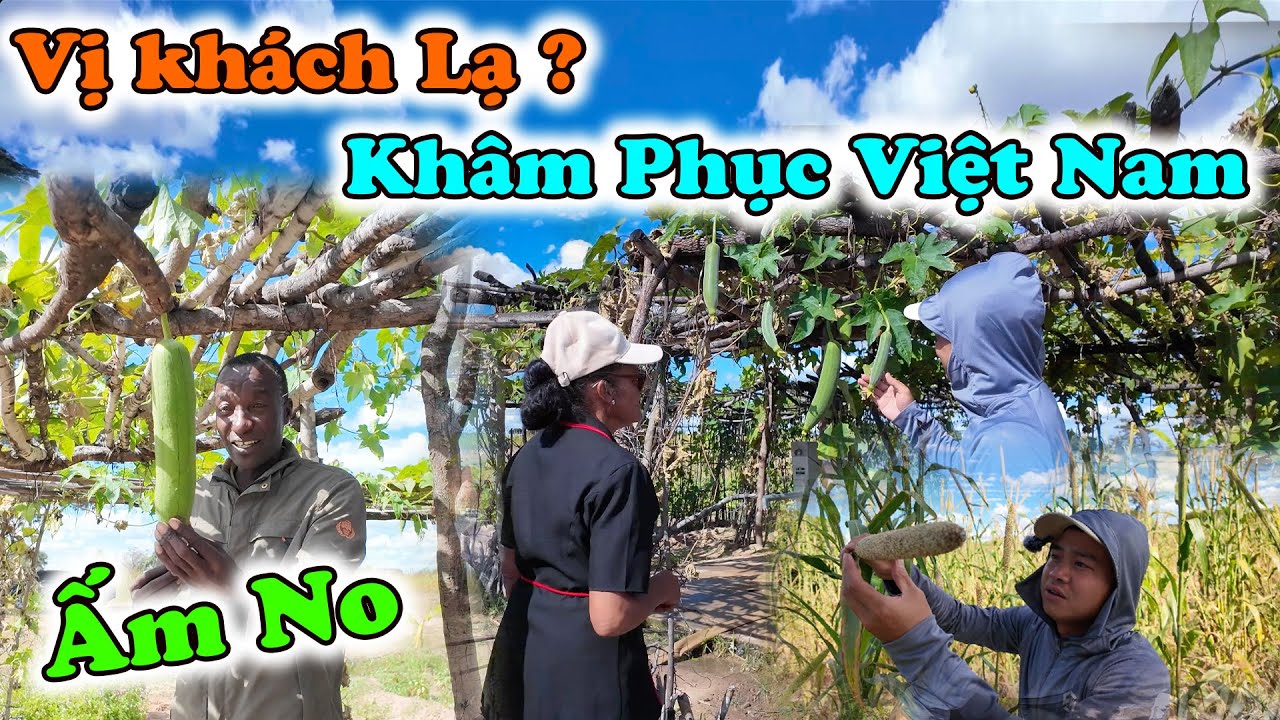 Công Giáp || Vị Khách Bàng Hoàng ? Khi Tận Mắt Chứng Kiến NGƯỜI VIỆT NAM Làm Những Gì ???
