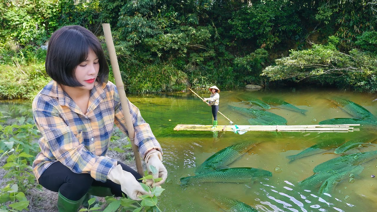 Casting Nets To Catch Fish, Cooking, Taking Care Of The Farm - Ngan's Daily Life | Live With Nature