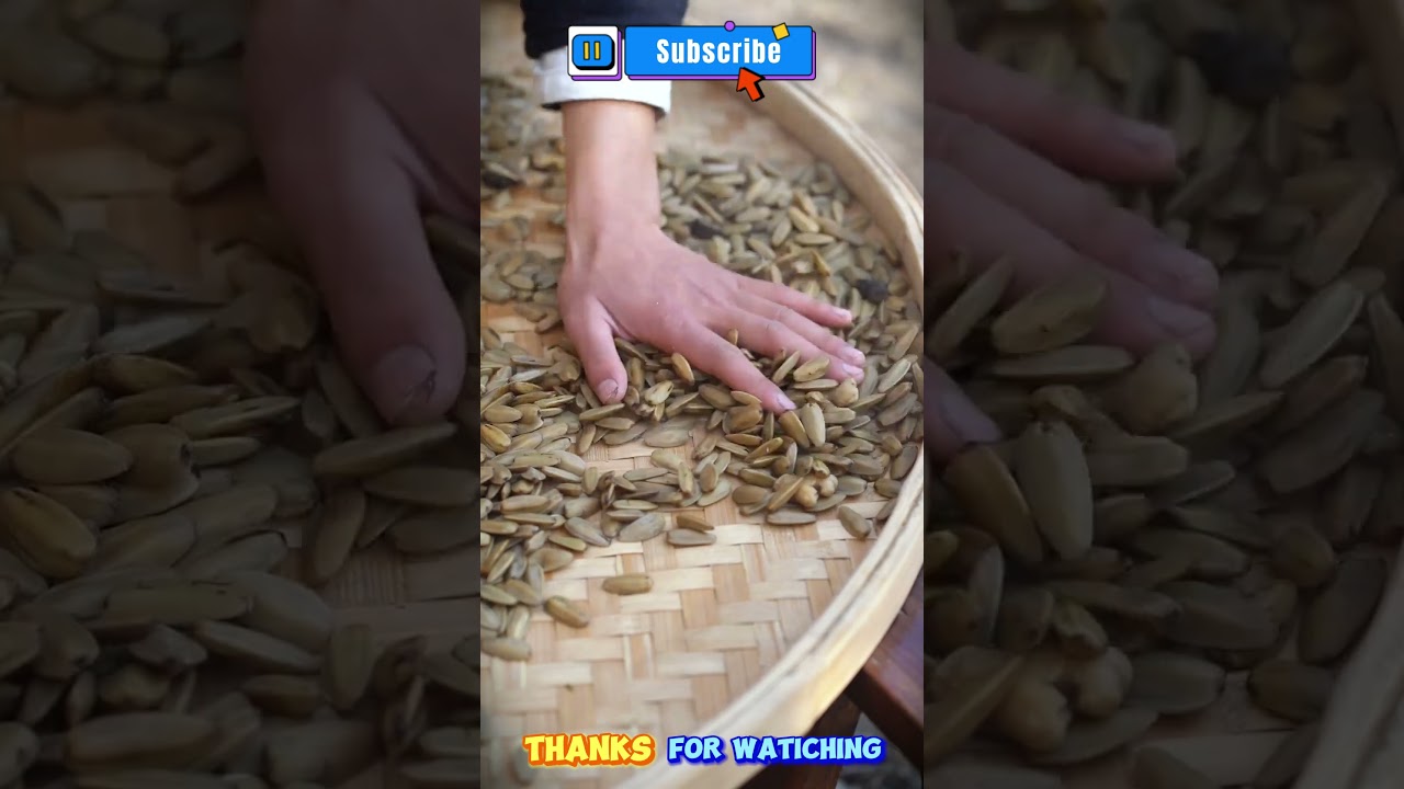 Countryside Flavors: Traditional Handcrafted Melon Seeds&mdash;Bringing Festive Joy Home #chineseflavor