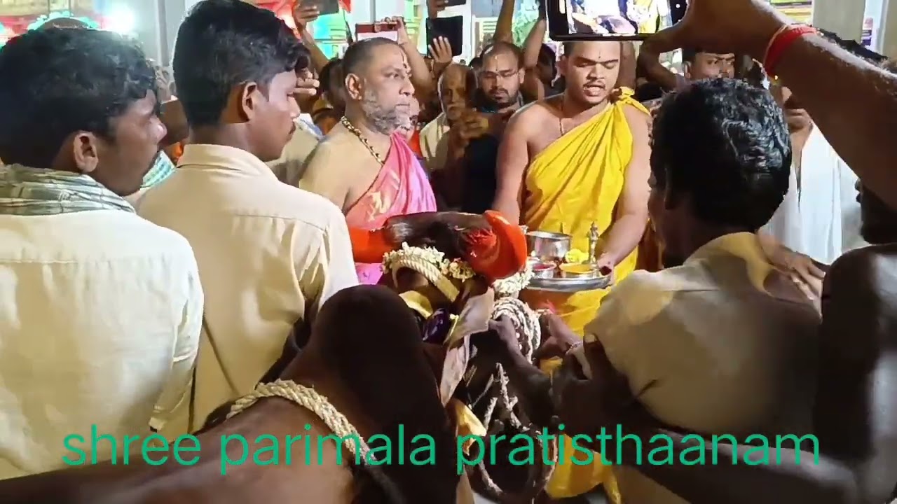 mantralayam  351st aradhana mahotsava dhwajarohana mahotsava with beautiful commentry
