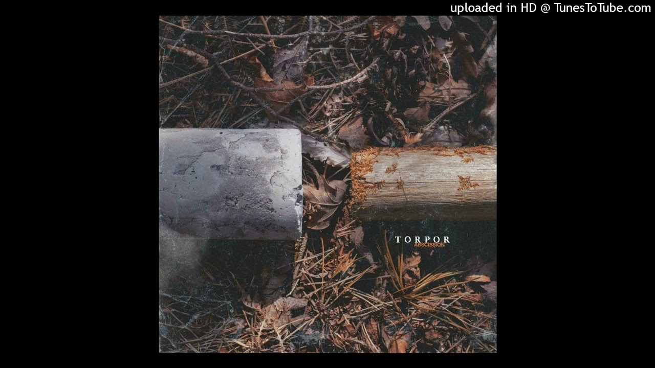 Torpor — As Shadow Follows Body