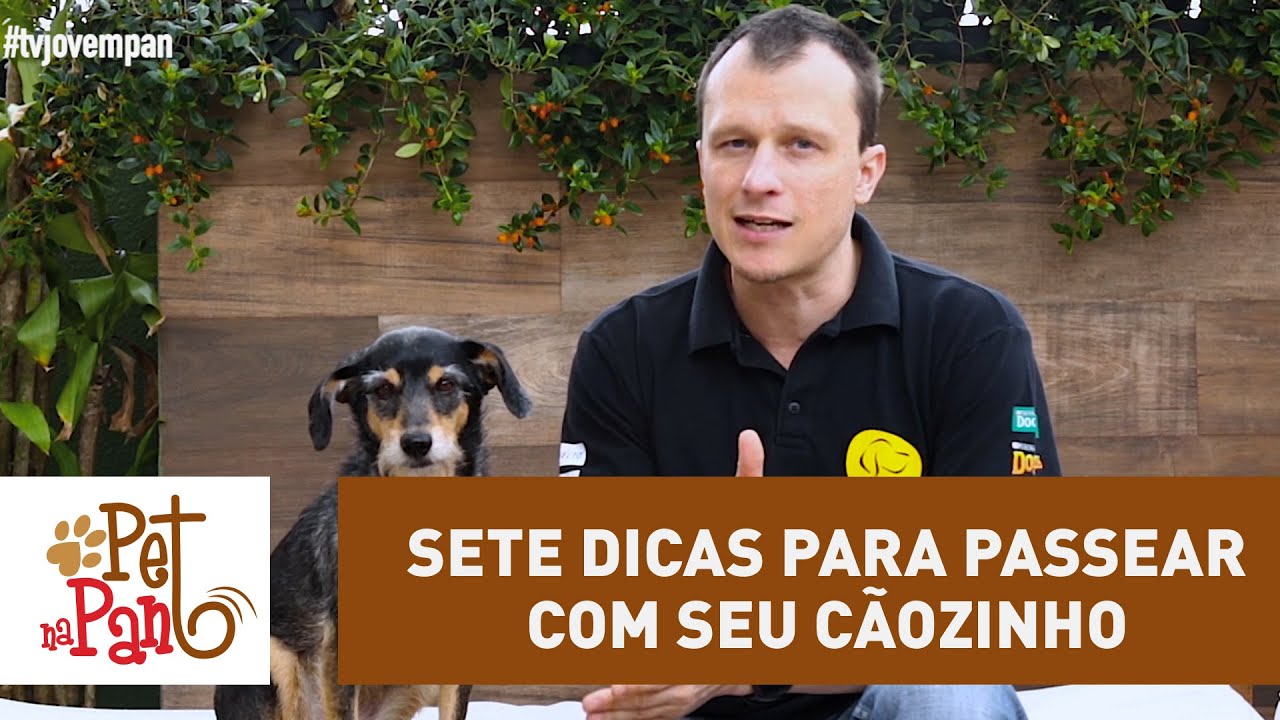 Pet Na Pan #16 - Sete dicas para você passear com seu cãozinho