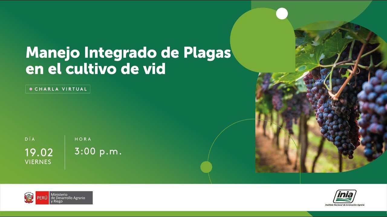 Manejo Integrado de Plagas en el cultivo de vid