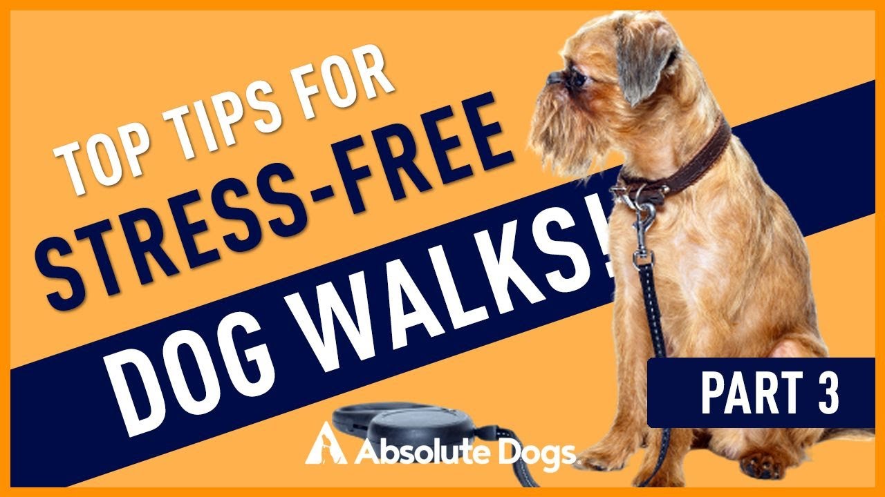 Top Tips For A Stress Free Walk Part 3