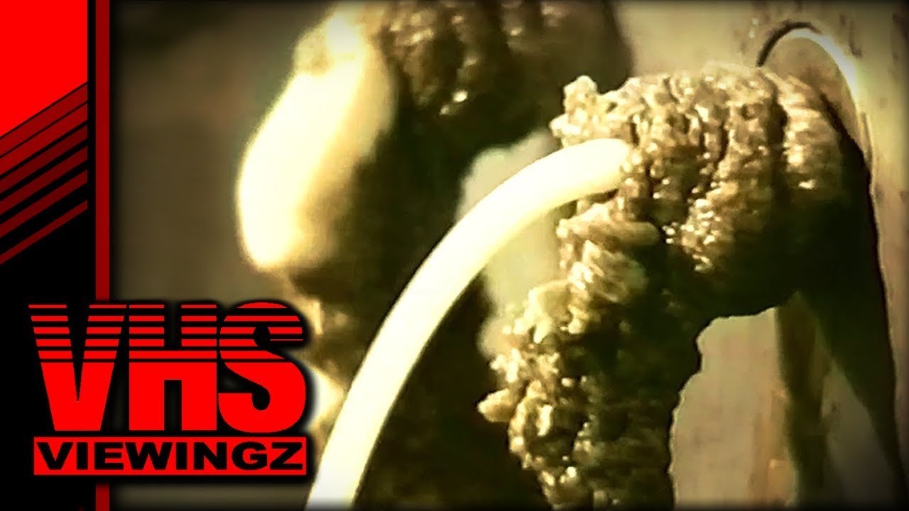 British Junk Food That Looks Like POOP - VHS VIEWINGZ