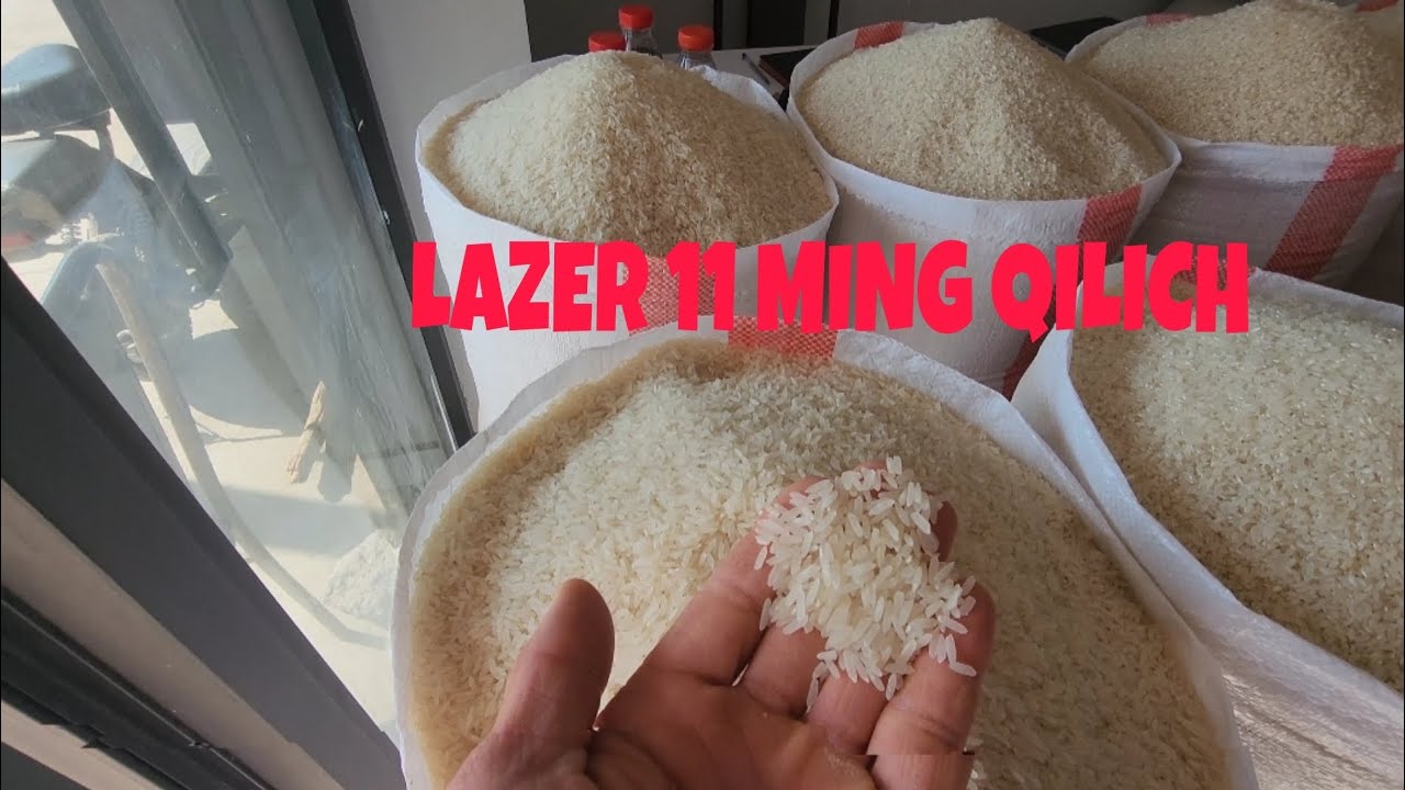 YERQOʻRGʻON BOZOR GURUNCH NARXLARI