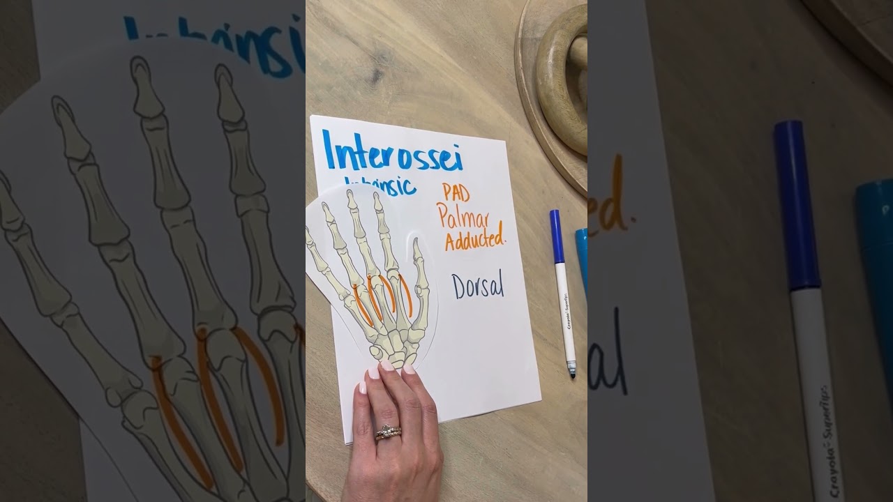 Interossei Muscles Study Trick!
