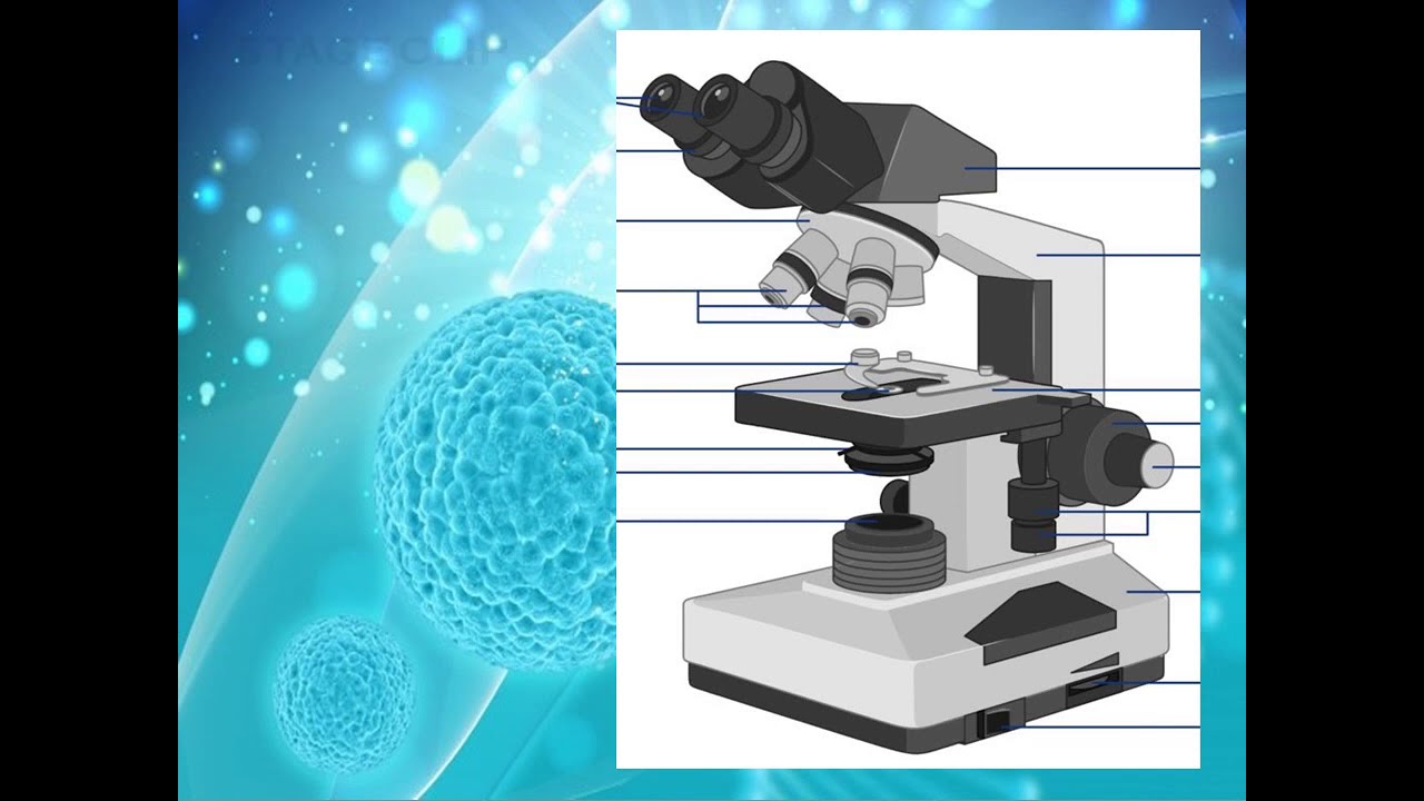 Science : Part 1 BIOLOGY | DOST Scholarship Examination Review