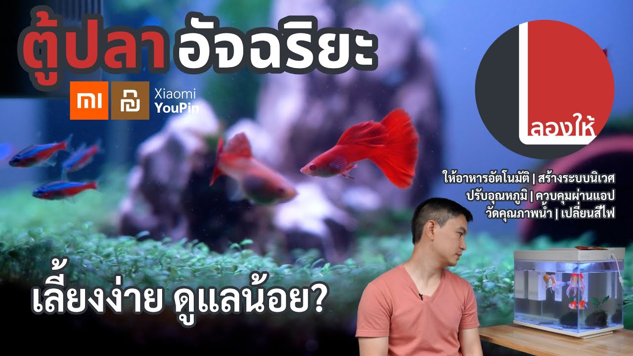 ลองให้ | ตู้ปลาอัจฉริยะ Xiaomi สร้างระบบนิเวศ ไม่ต้องดูแลเยอะ เลี้ยงง่ายขึ้นแค่ไหน?