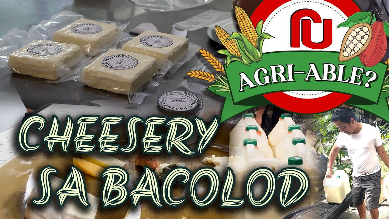 R U Agri-Able Episode 25,  Cheesery in Bacolod