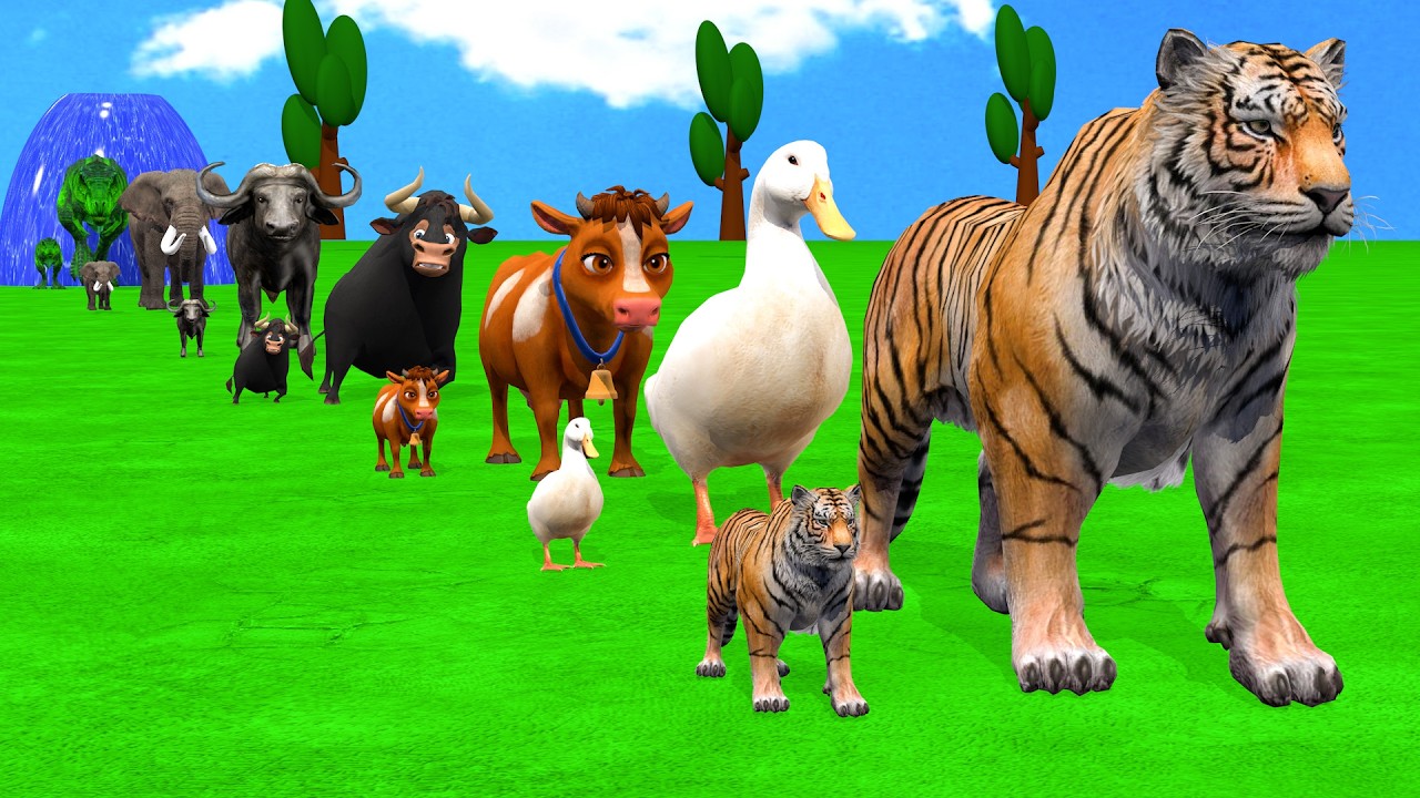 Long Slide Game With Cow Elephant Gorilla Hippopotamus Tiger - 3d Animal Game - Funny 3d Animals