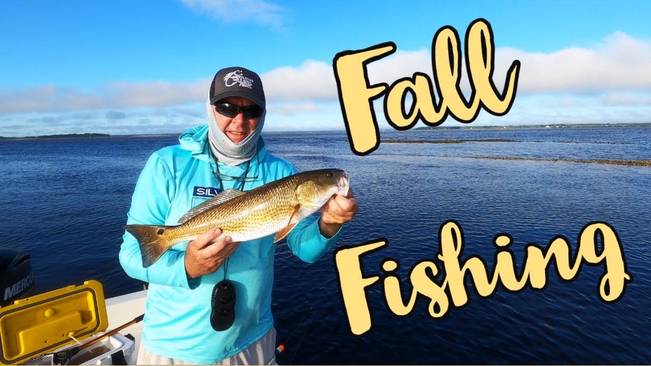 Good Fall Fishing Cumberland Island Georgia