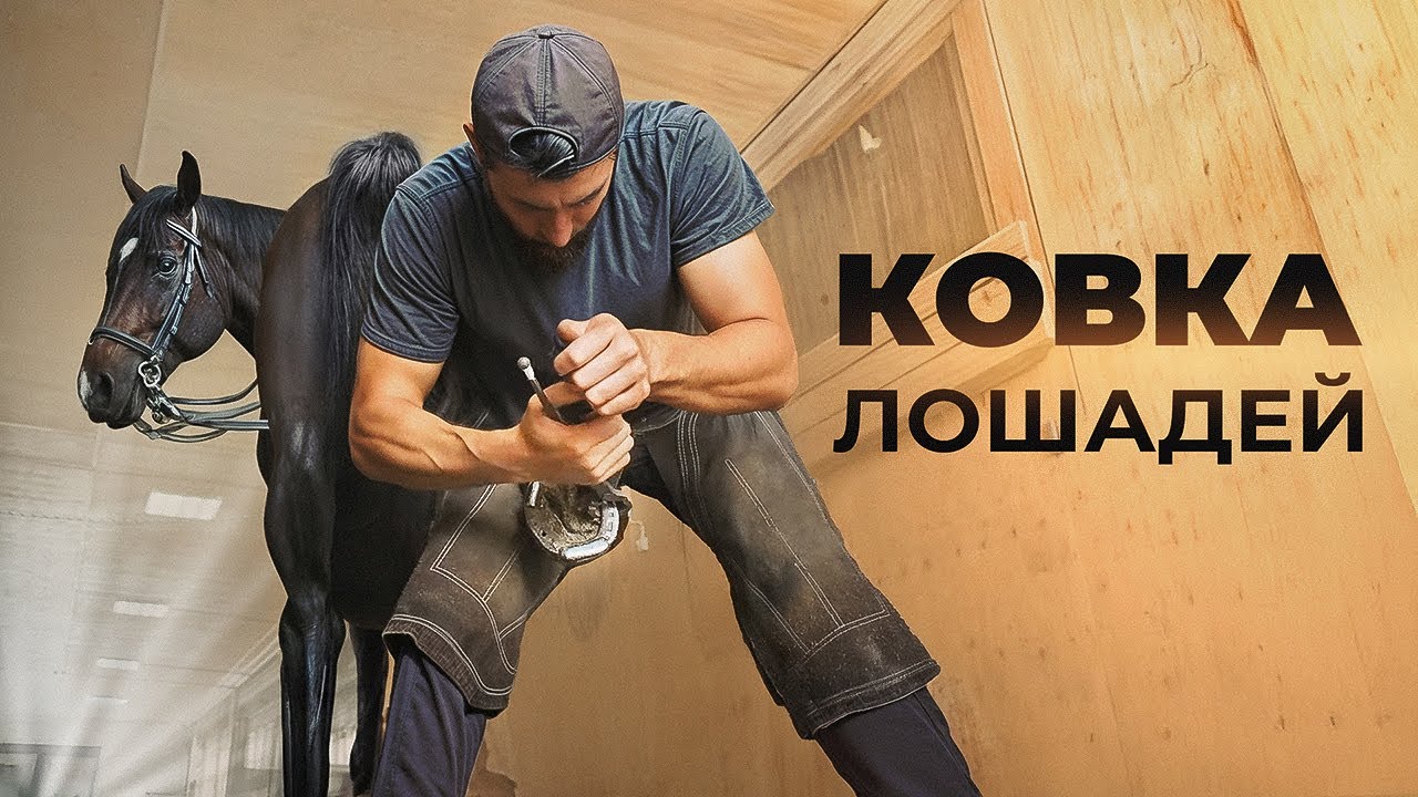 КОВКА ЛОШАДЕЙ С ДАХИРОМ