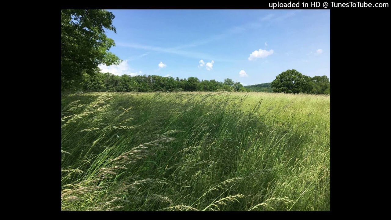 [free] izaya tiji type beat - 