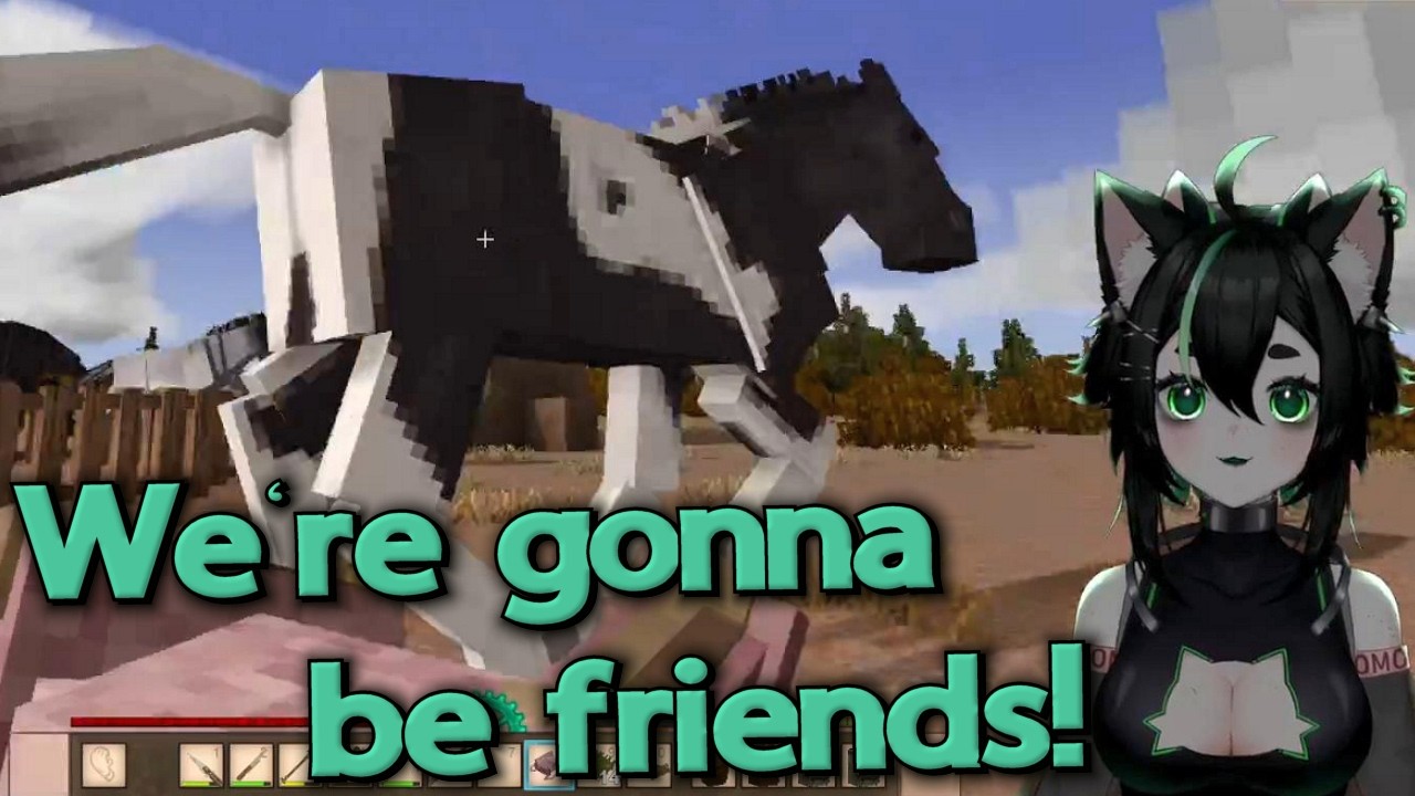Taming Horses