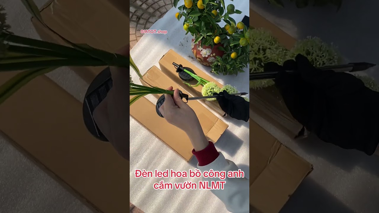 Đèn led trang trí sân vườn hoa bồ công anh dùng pin NLMT