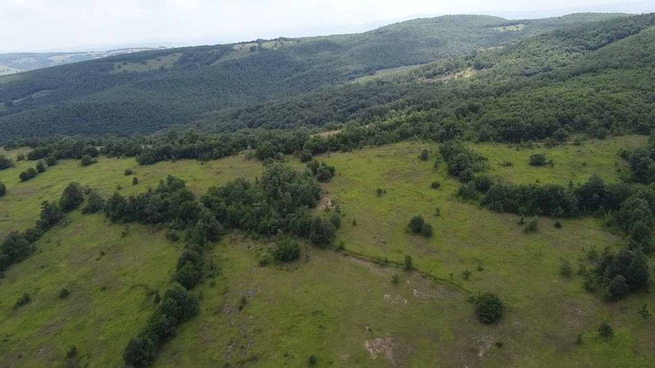 SAMSUN/KAVAK/ÇAKALLI'DA SATILIK 57 DÖNÜM ARAZİ