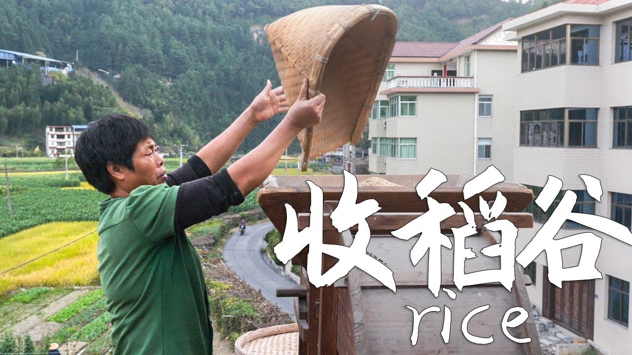 婆婆在忙收稻穀，媳婦煮飯，農村生活簡單但開心
