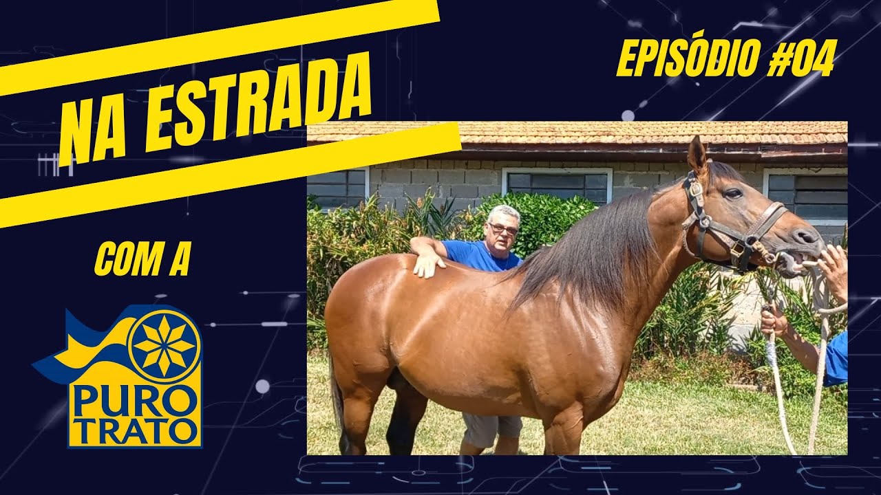 NA ESTRADA com a  Puro Trato #04 - ULISSES CARNEIRO/HARAS BAGÉ DO SUL