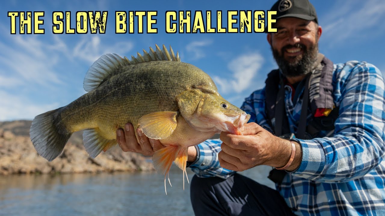 Family, Mates & Golden Perch | Burrinjuck Mate v Mate Fishing Challenge