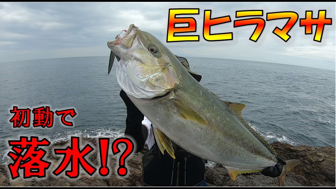 【神回】ついに獲った！巨大ヒラマサはメーター越え！？【撃投ジグ】