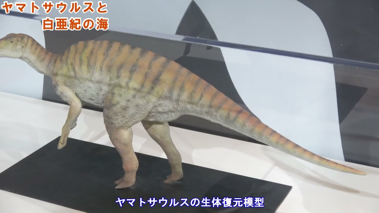 企画展「ひょうごの恐竜展～タンバティタニスとヤマトサウルス」
