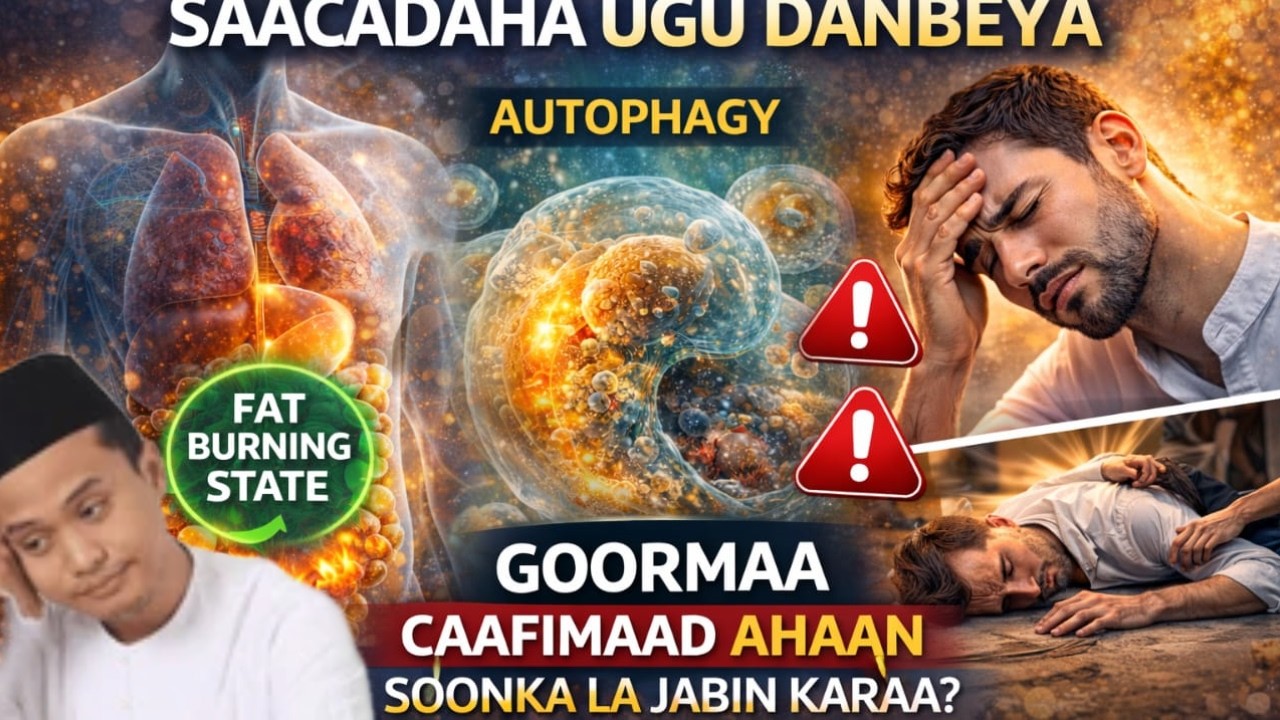 Maxaa jirkaaga ku dhacaya saacadaha ugu danbeya iyo gormaa caafimaad ahaan soonka la jabin karaa