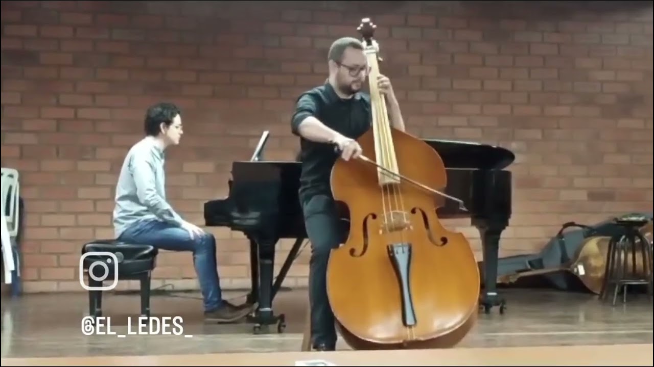 Concierto para contrabajo Andrés Martin - Andrés ledesma 
