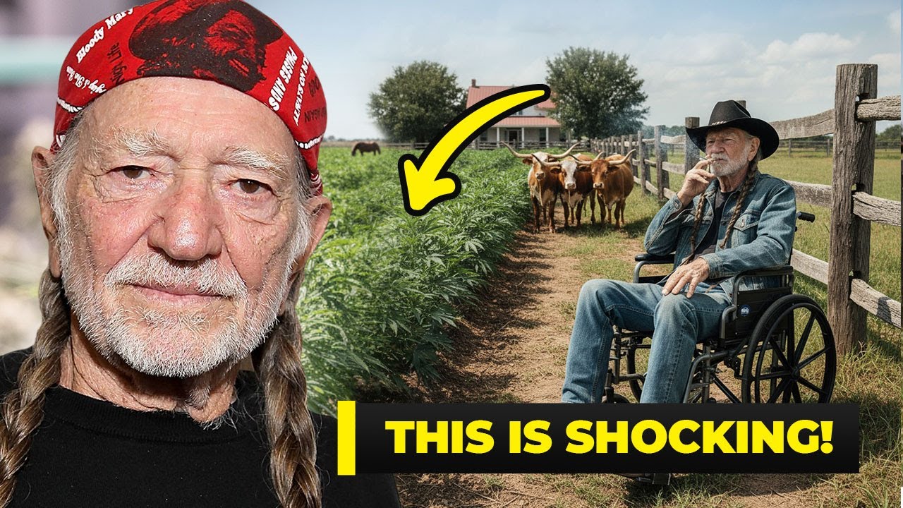 Inside Willie Nelson&rsquo;s Cannabis Ranch  - Music, Horses, the Untamed Spirit of a 92-Year-Old Rebel