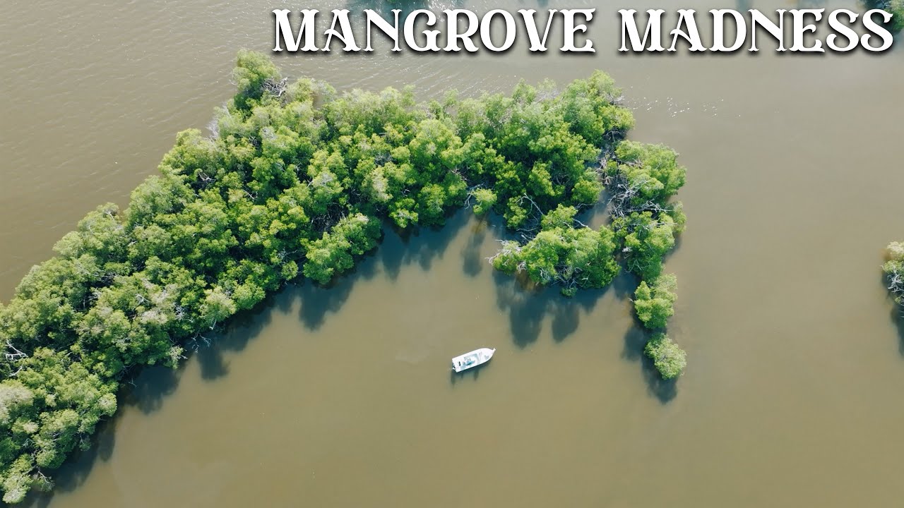 Квартиры класса S18:E8 «Мангровое безумие»