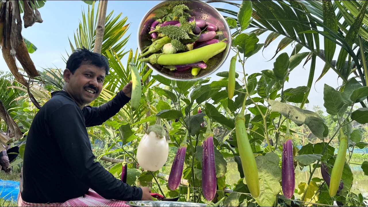 দেখুন কত বেগুন হয়েছে ||