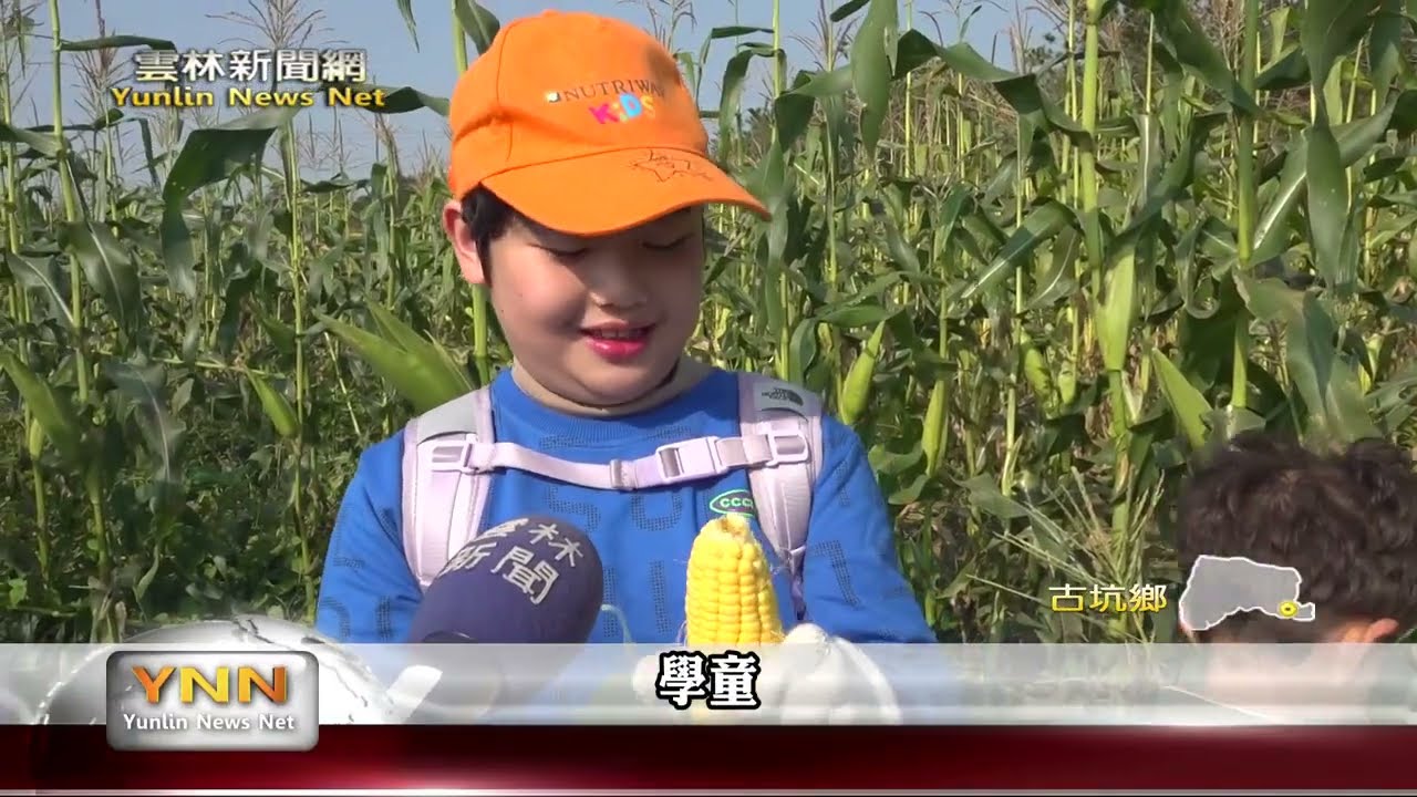 福智教育園區有機玉米田對外開放 帶親子共學心靈教育-雲林新聞網