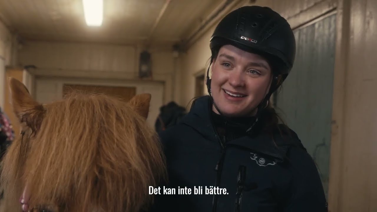 Hippologprogrammet; ridh&auml;st och islandsh&auml;st
