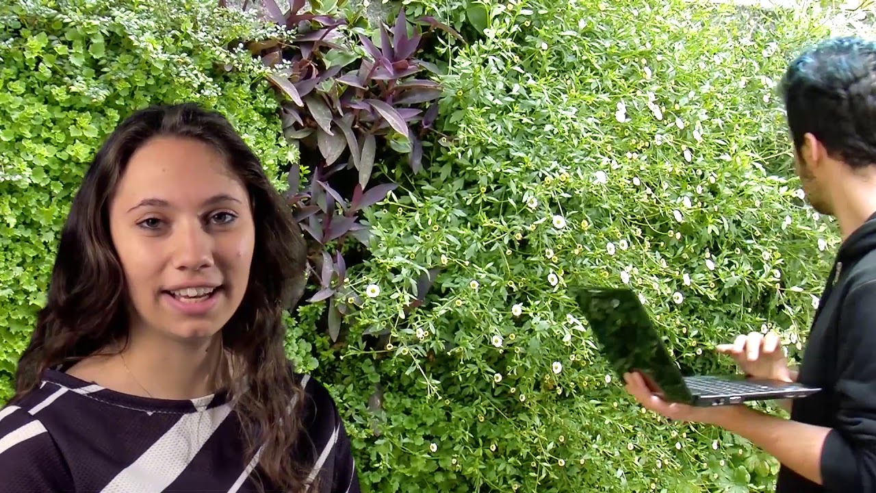 IL GIARDINO VERTICALE DEL LICEO 