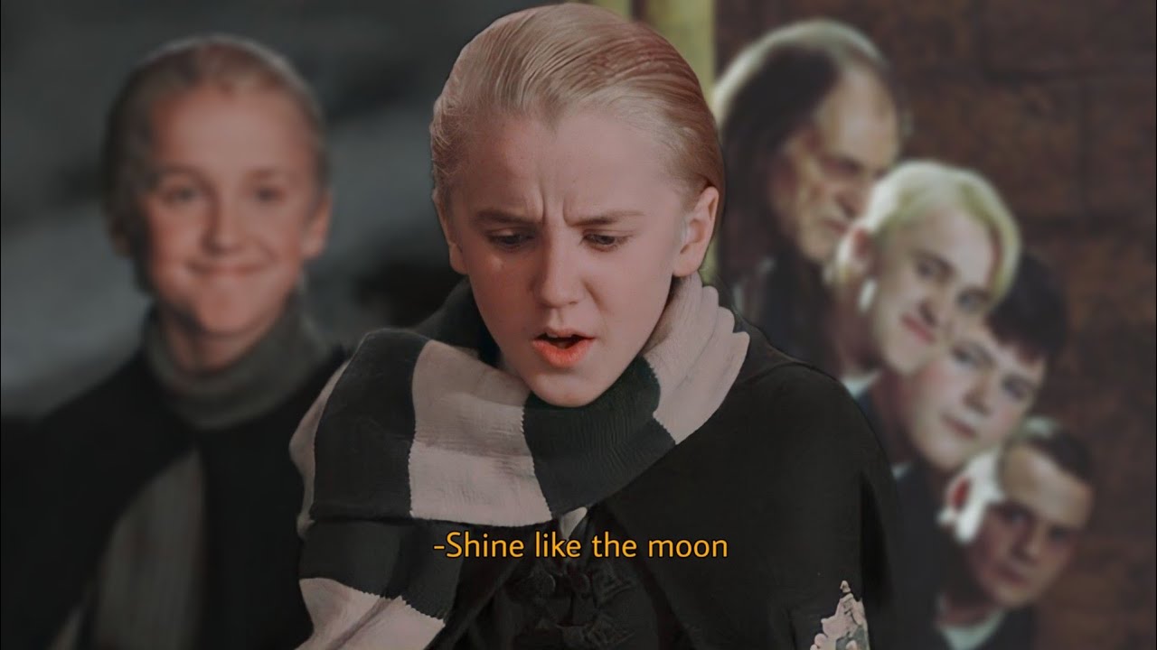 random y/n and draco malfoy tiktoks pt.6 | draco tok