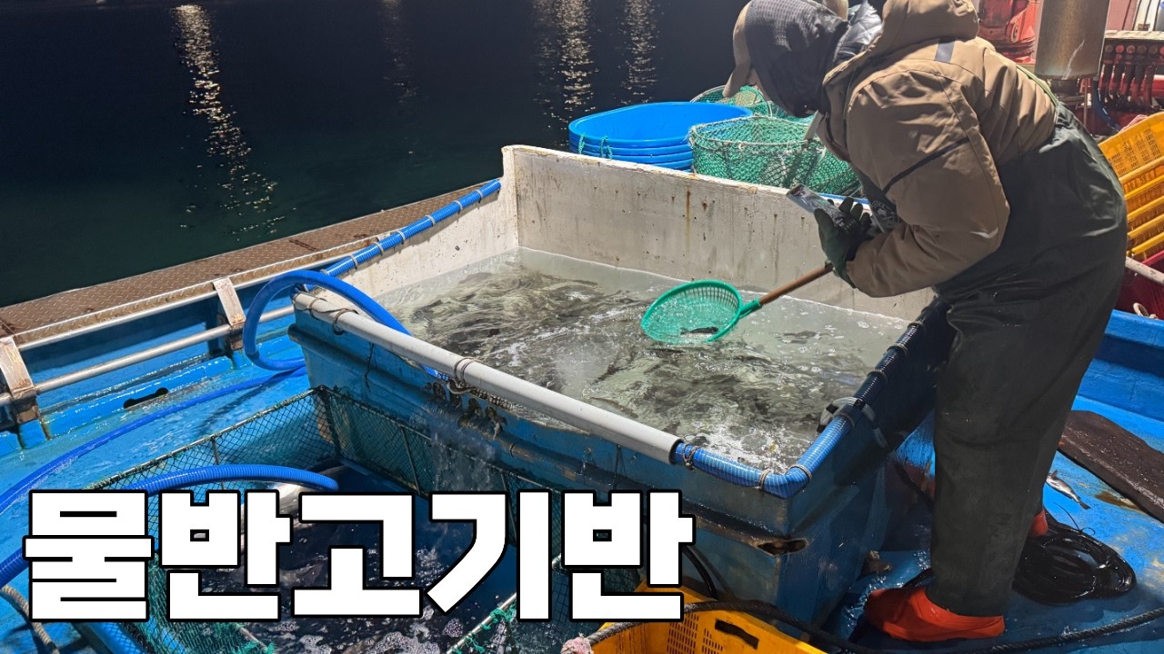 수족관 털어온 거 아닙니다!그물 속에  온갖 물고기 다 튀어나오는 역대급 현장! 초고급 어종부터 다나옵니다!