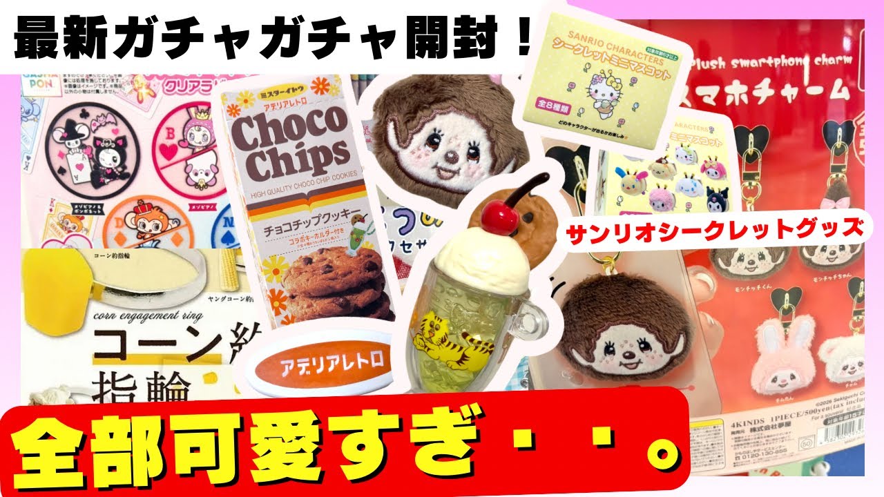3月#2 【ガチャガチャ】モンチッチ＆サンリオ・ナルミヤに新作登場！エモいガチャを大量に回してきた結果が最高すぎた。アデリアレトロ/カプセルトイ/食玩/capsuletoy ほか