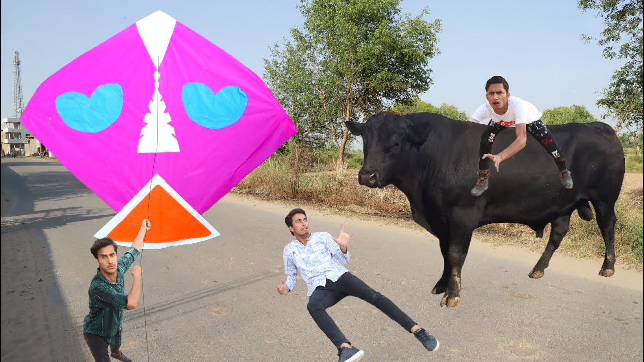Kite Cutting & Flying With New Cow Buy