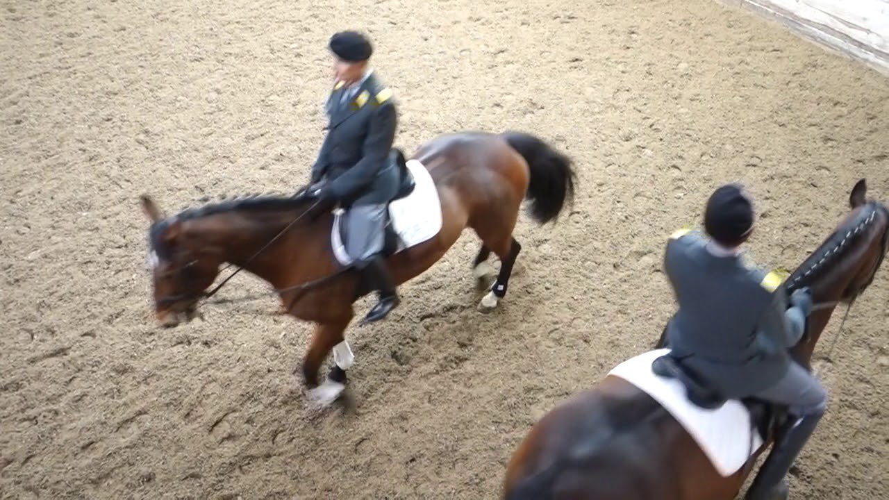 ORG Quadrille 2018 Klasse 1 Final