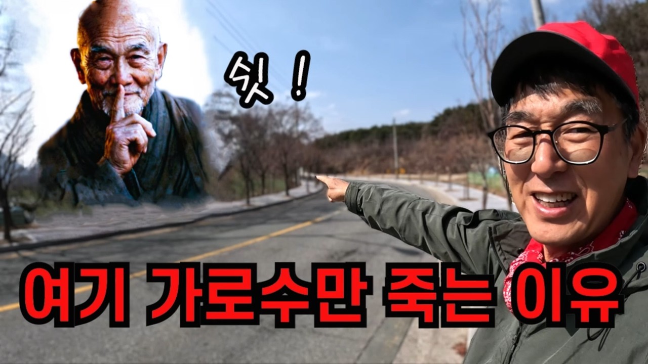 여기 가로수만 죽는 이유?  밤에 혼자 돌아다니는 여자 ?
