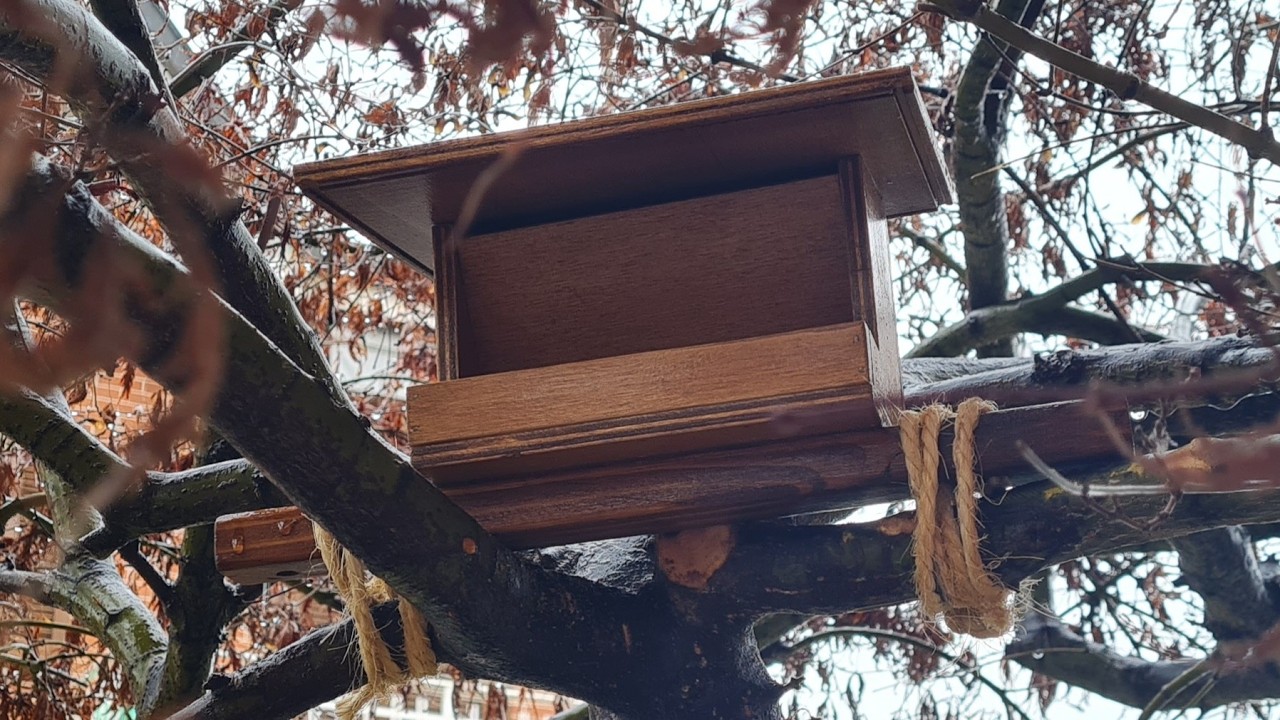Costruisci una mangiatoia per uccellini 🐦 Progetto Legno Fai da Te 🪵